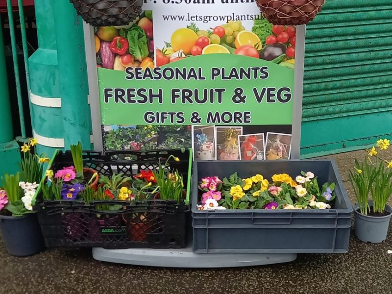 Let's grow plants - fruit & veg shop