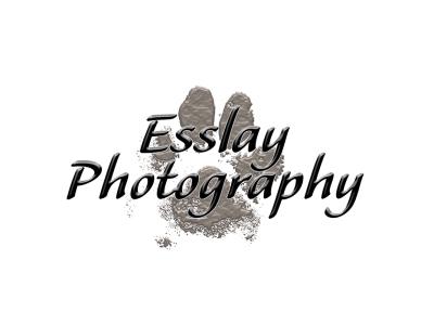 Esslay Photography
